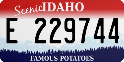 ID license plate E229744