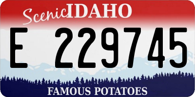 ID license plate E229745