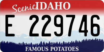 ID license plate E229746