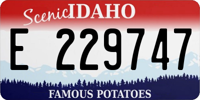 ID license plate E229747
