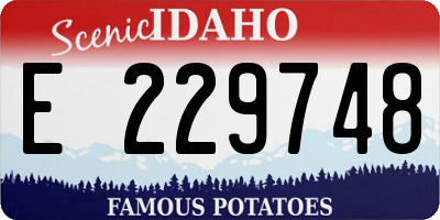 ID license plate E229748