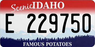 ID license plate E229750