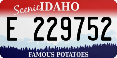 ID license plate E229752