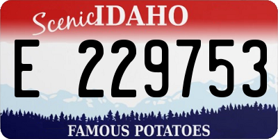 ID license plate E229753