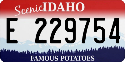 ID license plate E229754