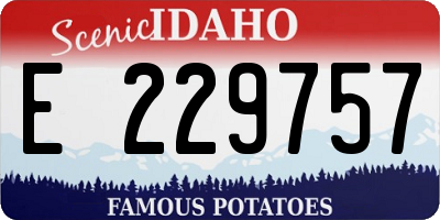 ID license plate E229757