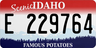 ID license plate E229764