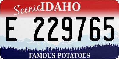 ID license plate E229765
