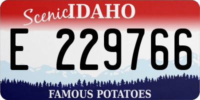 ID license plate E229766