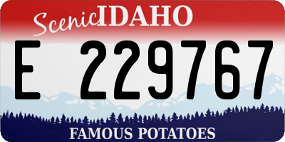 ID license plate E229767
