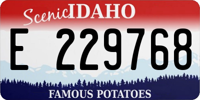 ID license plate E229768