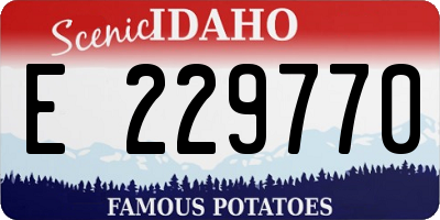 ID license plate E229770