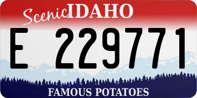 ID license plate E229771