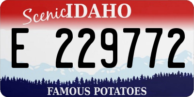 ID license plate E229772