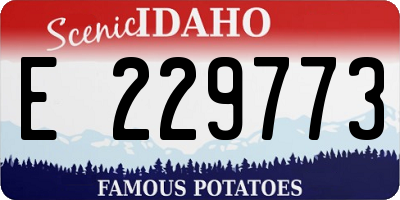 ID license plate E229773