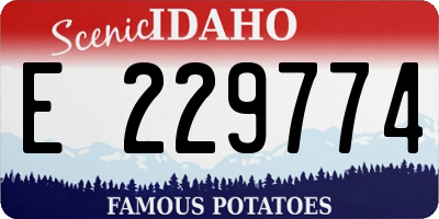 ID license plate E229774