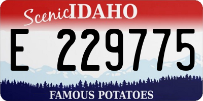 ID license plate E229775