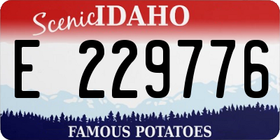 ID license plate E229776