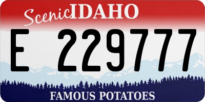 ID license plate E229777