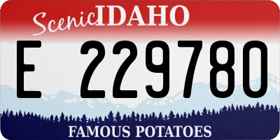 ID license plate E229780