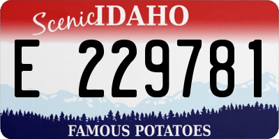 ID license plate E229781