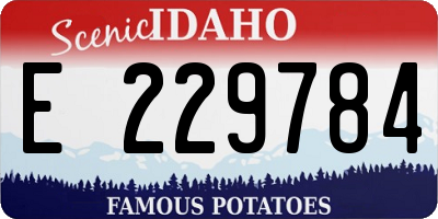 ID license plate E229784