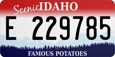 ID license plate E229785