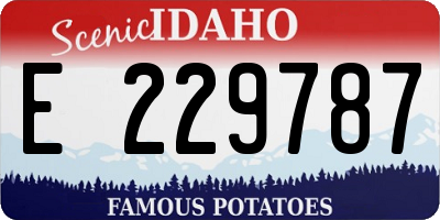 ID license plate E229787