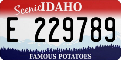 ID license plate E229789