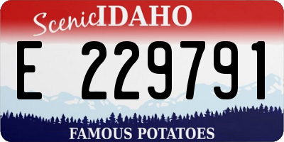 ID license plate E229791