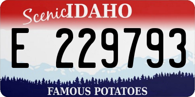ID license plate E229793