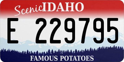ID license plate E229795