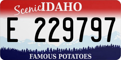 ID license plate E229797