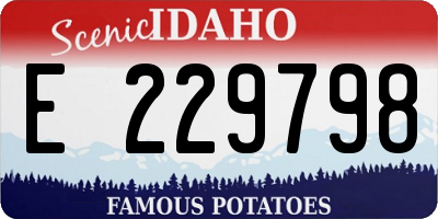 ID license plate E229798