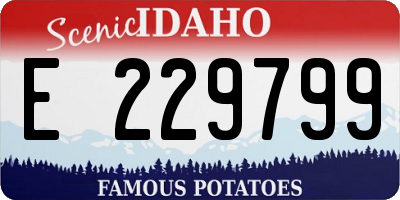 ID license plate E229799