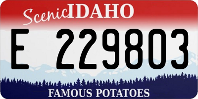 ID license plate E229803
