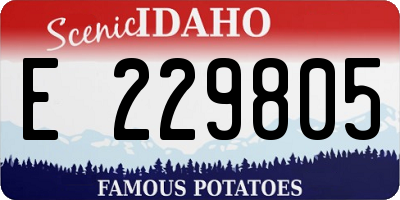 ID license plate E229805
