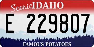 ID license plate E229807