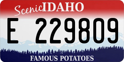 ID license plate E229809