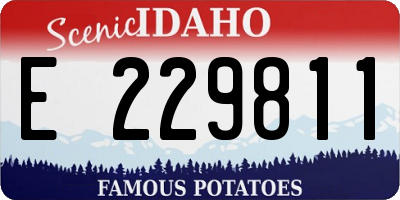 ID license plate E229811