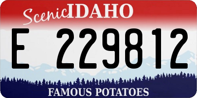 ID license plate E229812