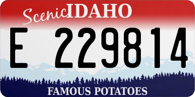 ID license plate E229814