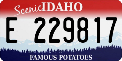 ID license plate E229817