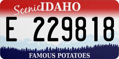 ID license plate E229818