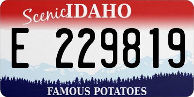 ID license plate E229819