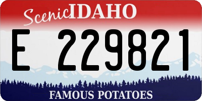 ID license plate E229821