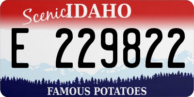 ID license plate E229822