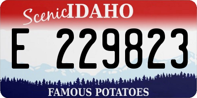 ID license plate E229823