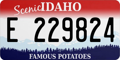 ID license plate E229824