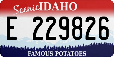 ID license plate E229826